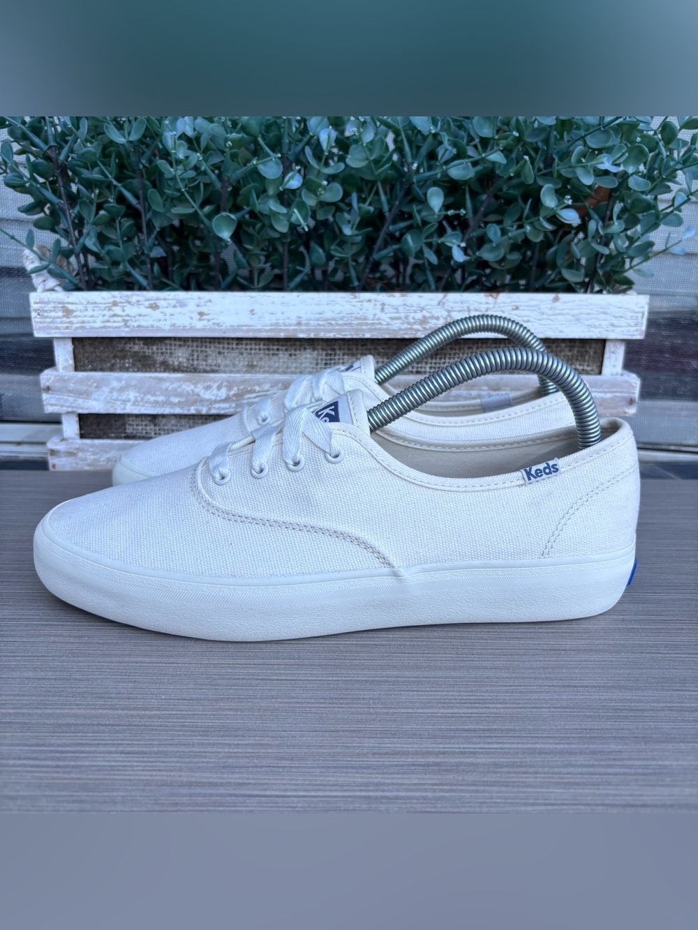 Keds White Canvas Sneakers